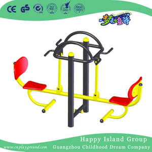 Outdoor Double Swing Chair for Physical Exercise Equipment (HD-12005)