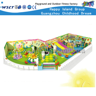 High Quality School Small Forest Indoor Playground Equipment (HD-9204)